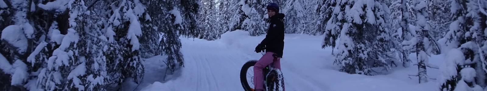 fatbiken in Lapland: milieuvriendelijk avontuur