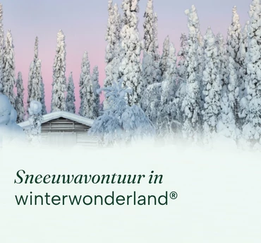 vt-actieblok-370x344-sneeuwavontuur-in-winterwonderland