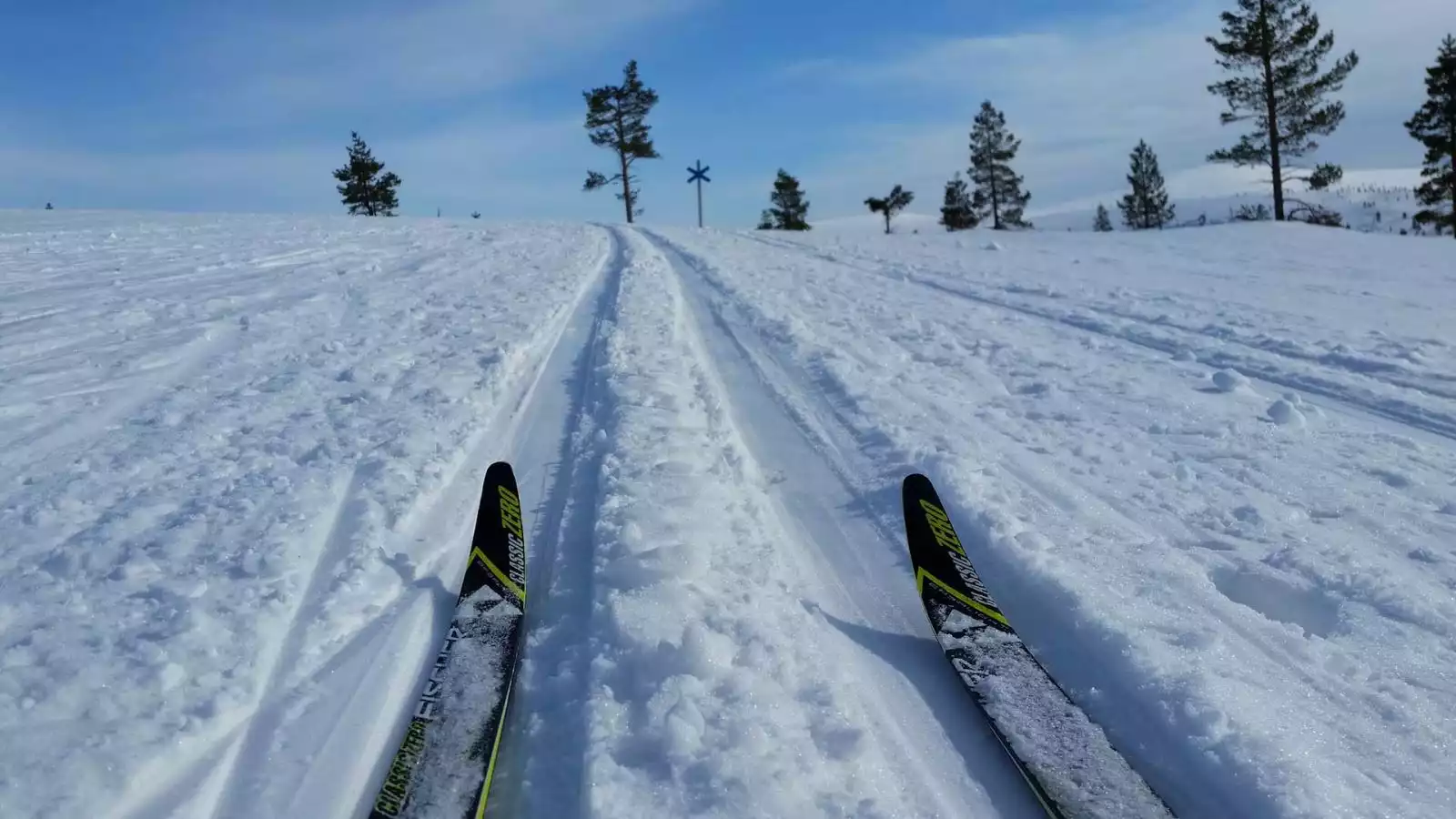 Op langlaufski's door taiga en toendra