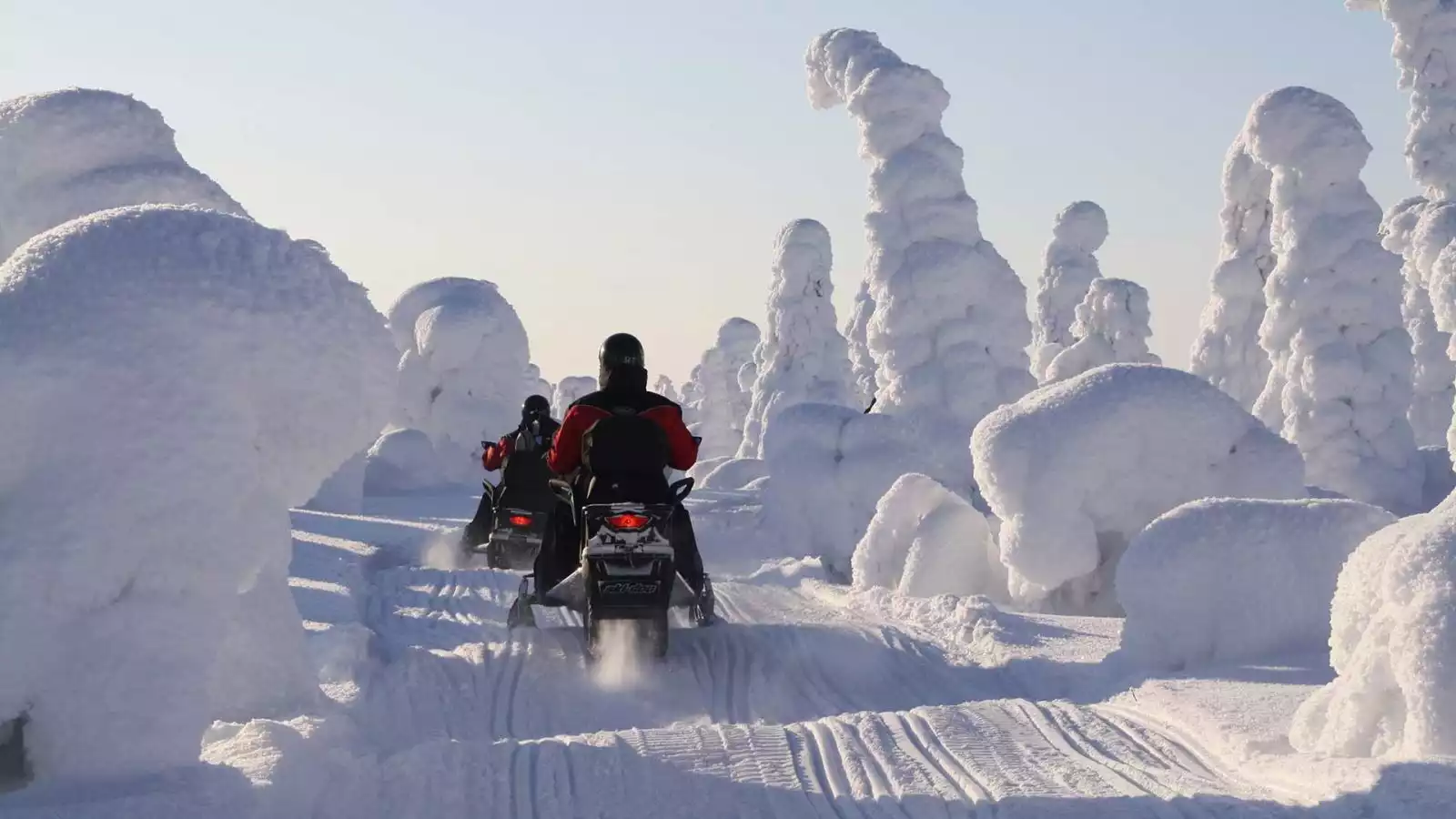 Sneeuwscootertocht en overnachting in de wildernis