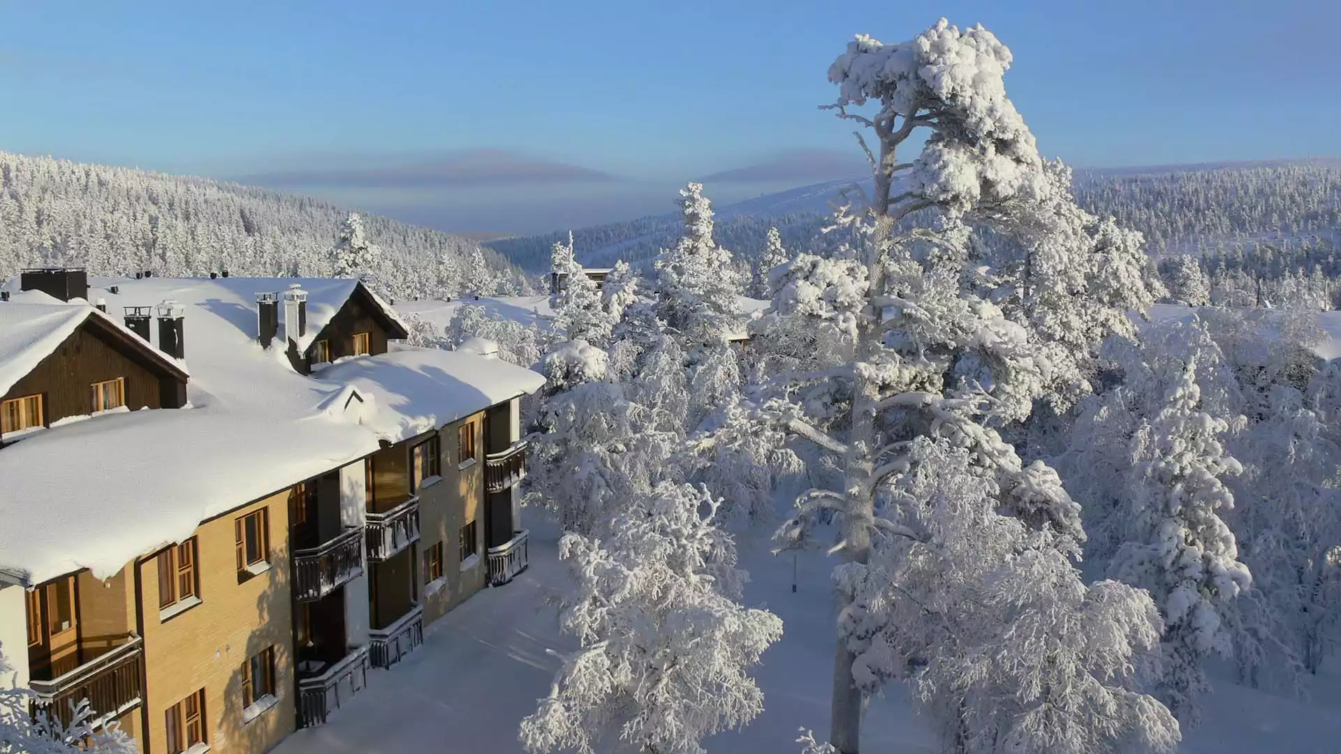 Welkom in Lapland!