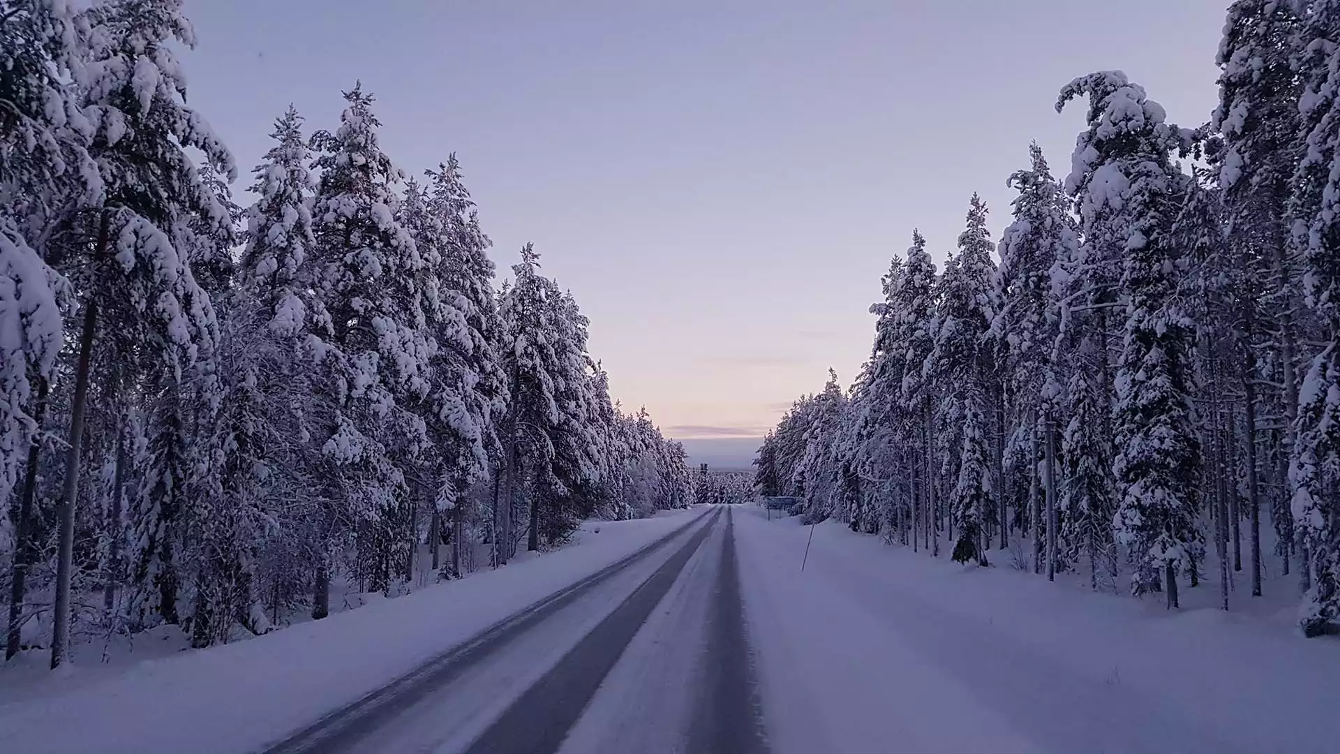 Welkom in Lapland!