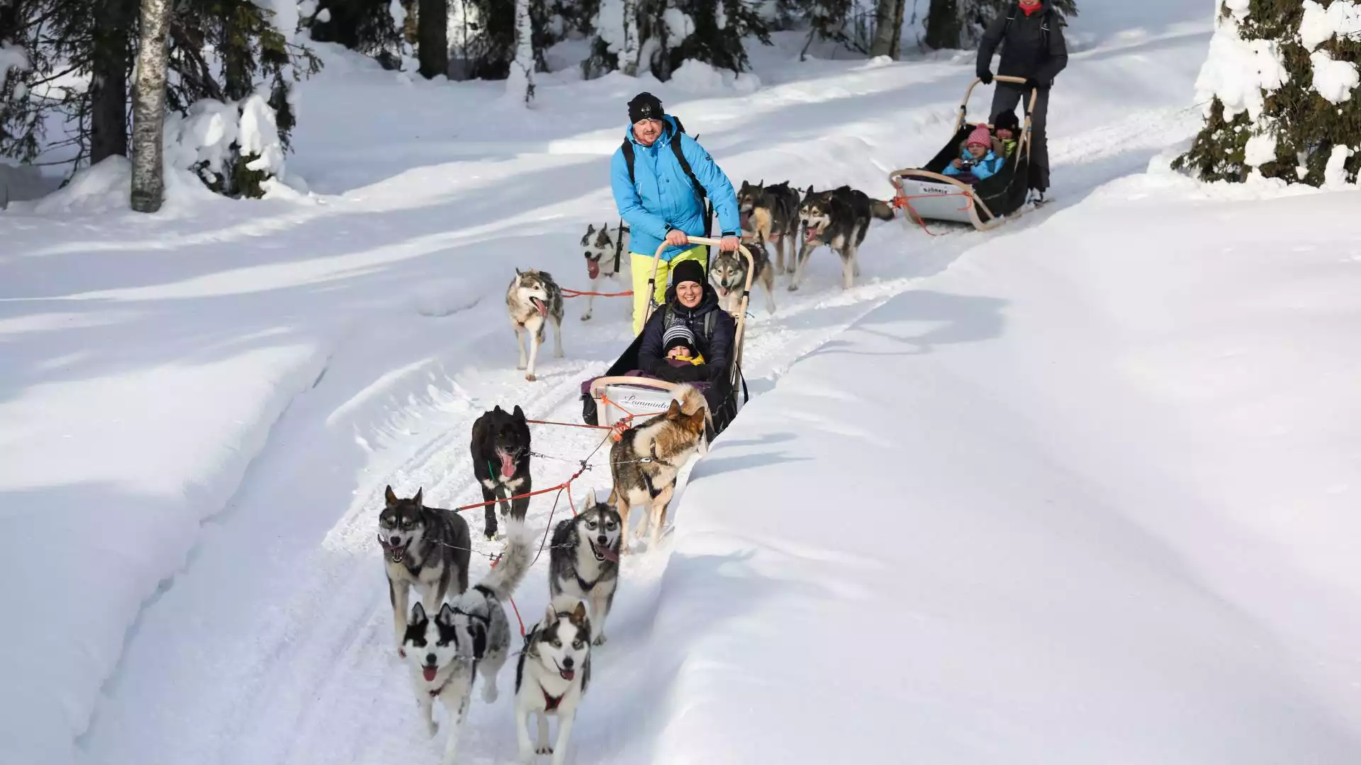 Op pad met de husky’s en sneeuwscootertocht onder de sterrenhemel	