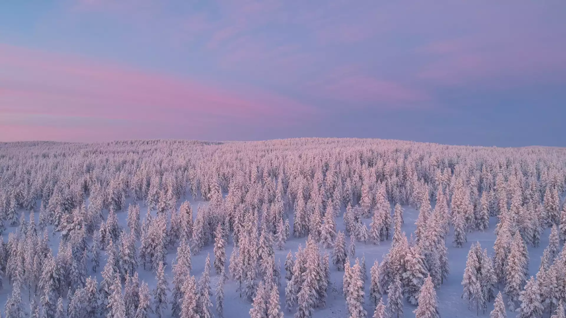 Afscheid nemen van Lapland