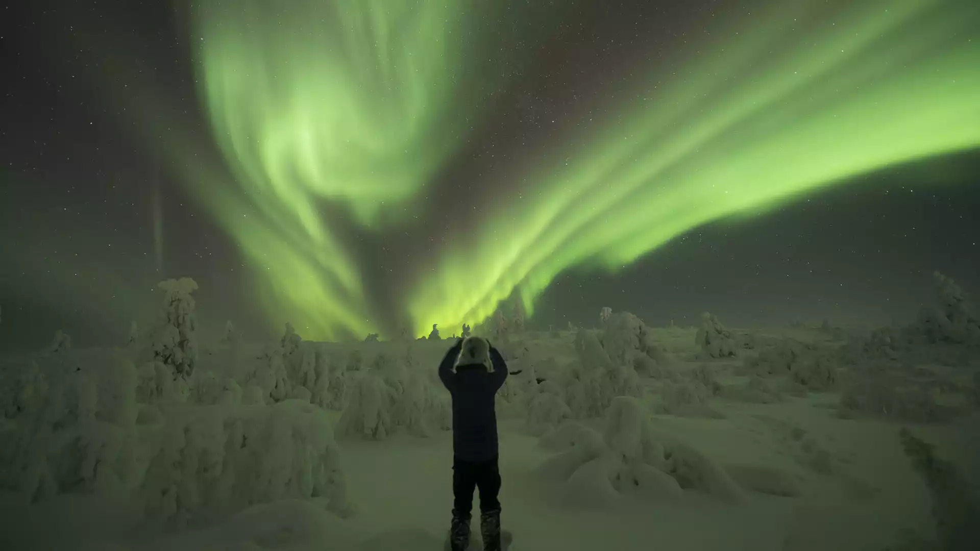 Aurora trek in Nivunki