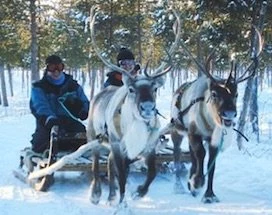 kiruna-raidu-ontmoet-rendieren