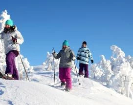 sneeuwschoenwandelen-kilpisjarvi-excursie