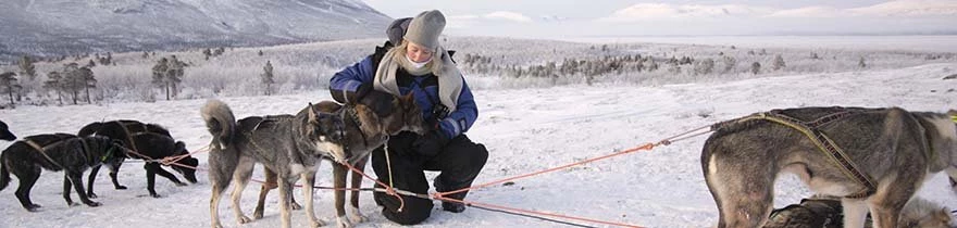 abisko-excursies-winter