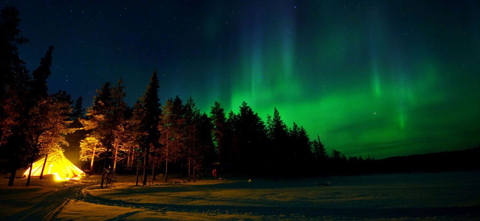 Noorderlicht groepsreis Lapland | Voigt Travel