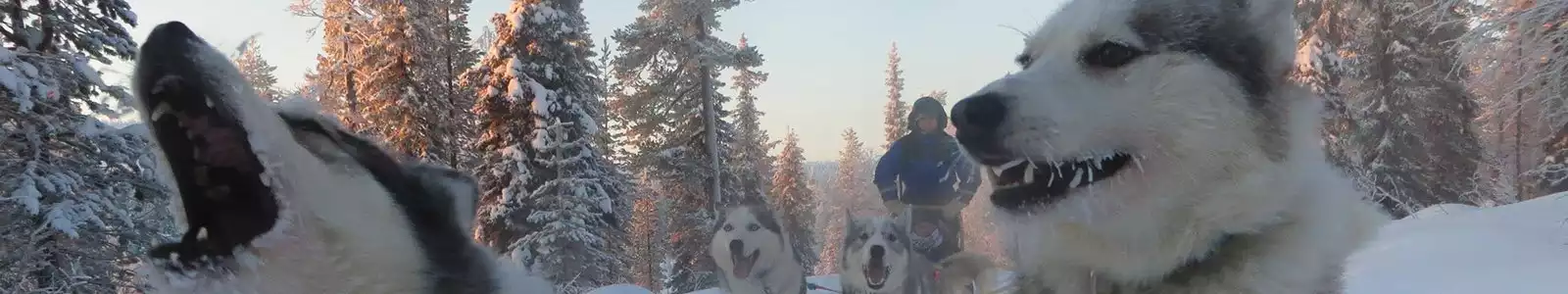 lapland-actief-meerdaagse-tochten-header