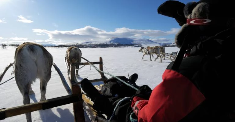 rendiertocht Zweeds lapland