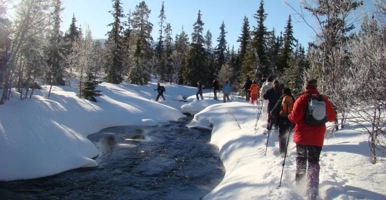 lapland sneeuwschoenwandelen