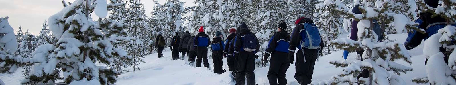 Sneeuwschoenwandelen Lapland