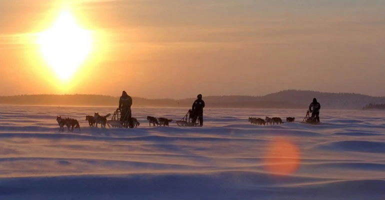 huskytocht lapland