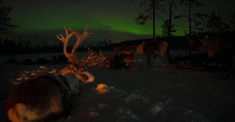 lapland noorderlicht