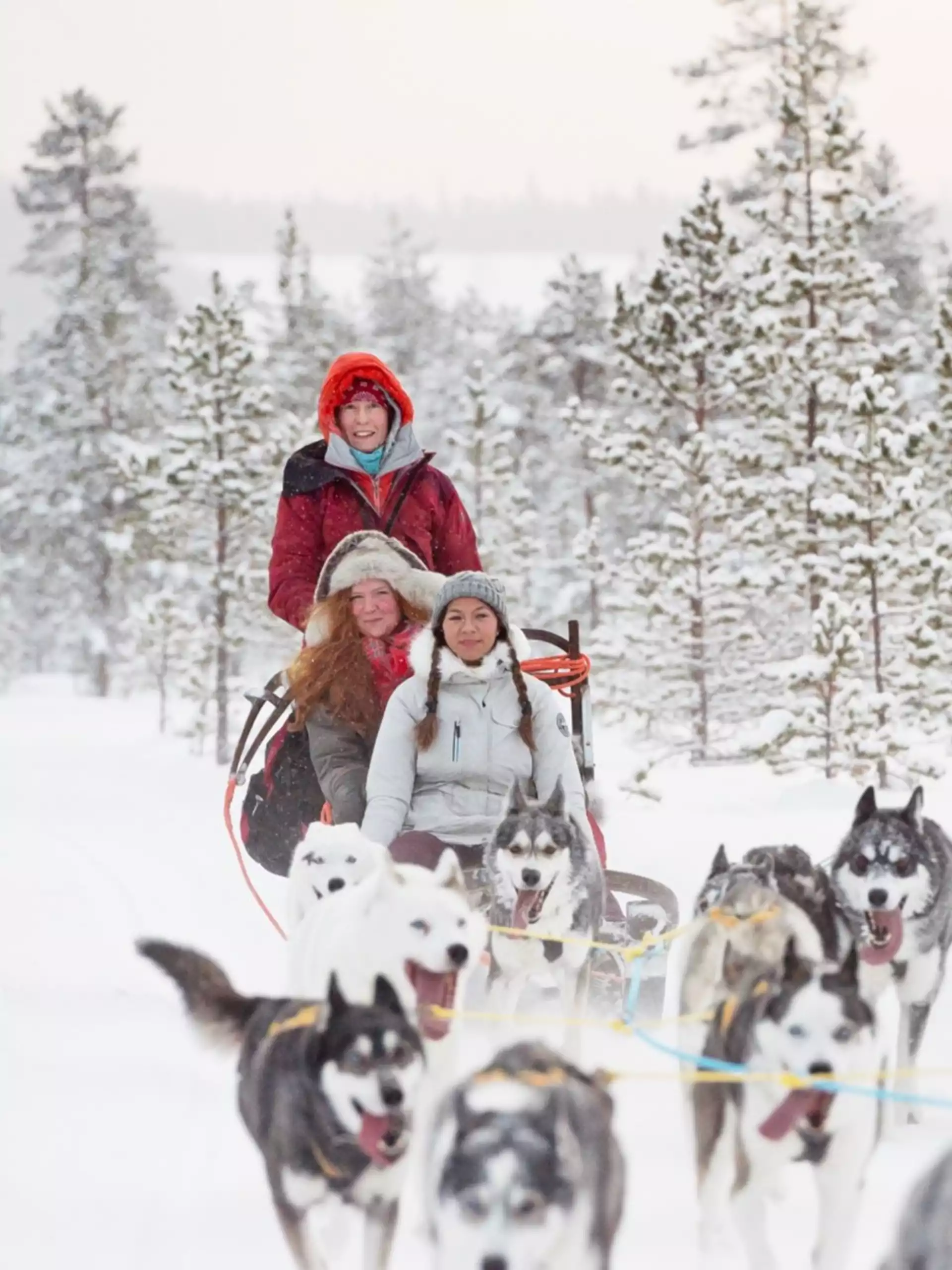 Lapland vakantie Voigt Travel